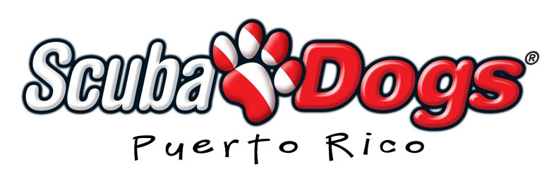 SD logo horizontal con Puerto Rico - Copy
